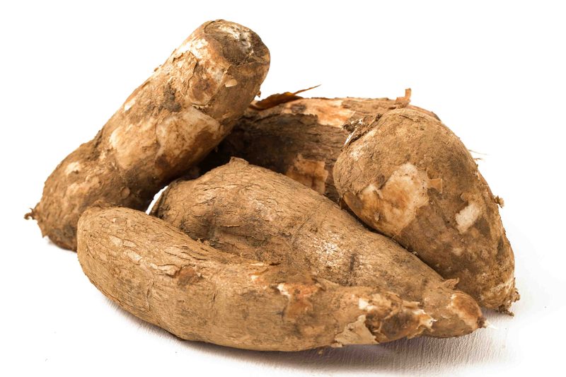 Cassava