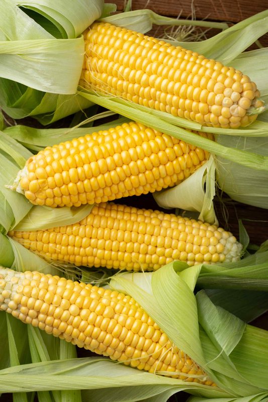 Corn